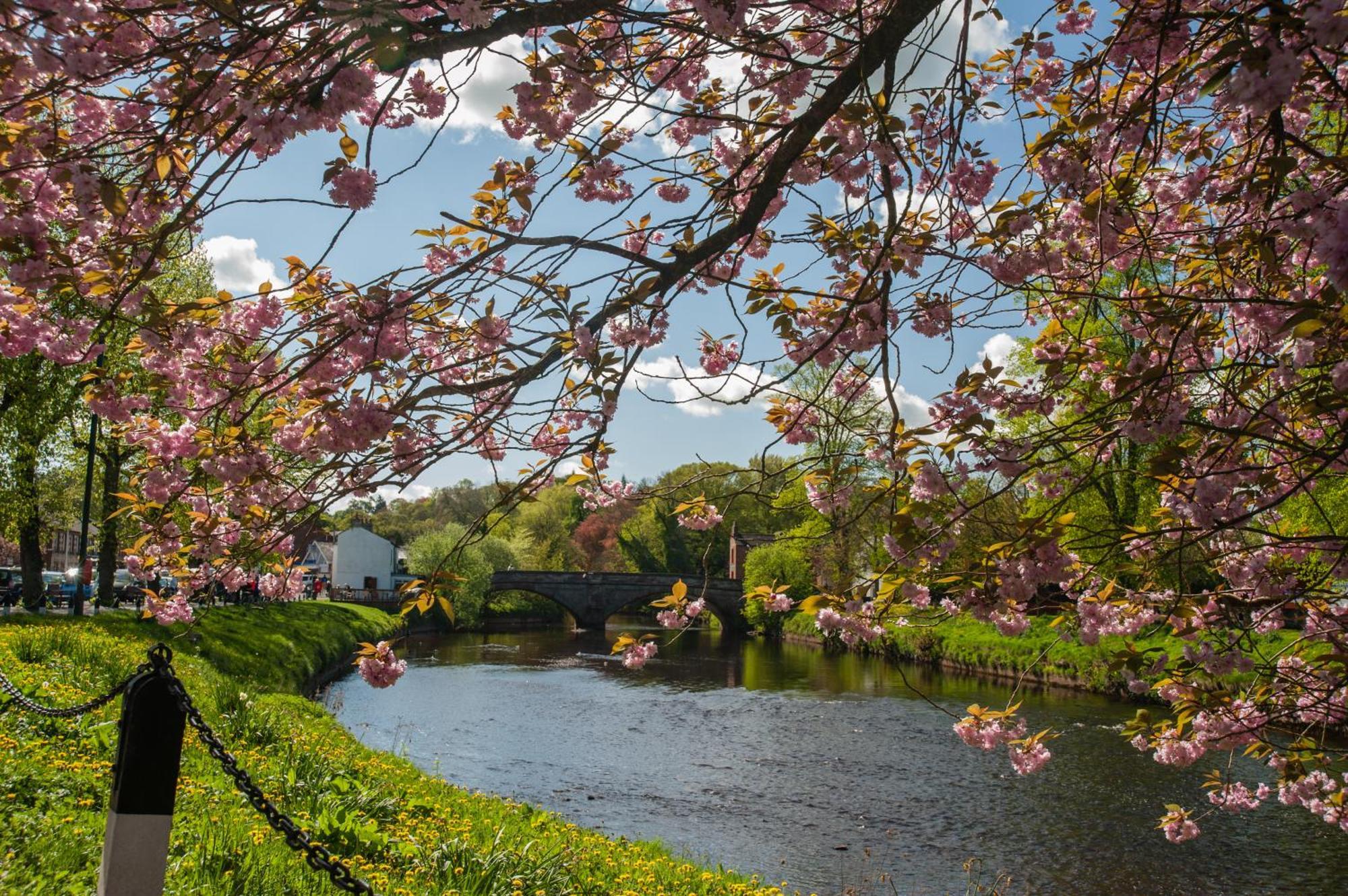 Little Apple Cottage- Free Parking, Hot Tub, Fire, Town Centre Appleby-in-Westmorland ภายนอก รูปภาพ